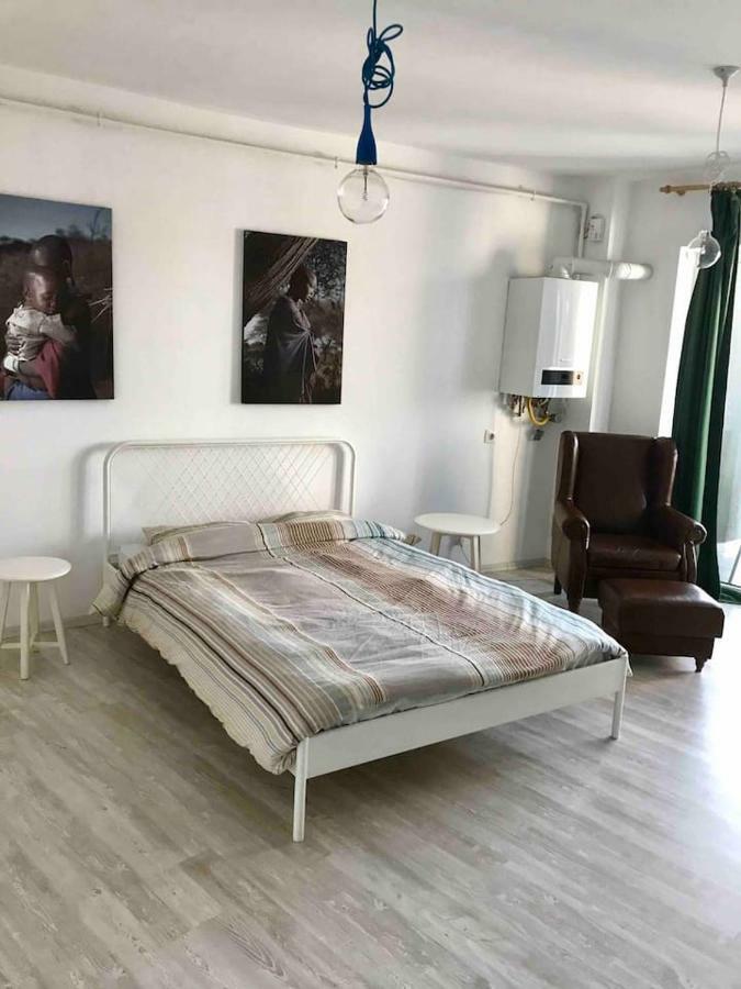 Beautiful Studio Near The Center Of Cluj المظهر الخارجي الصورة